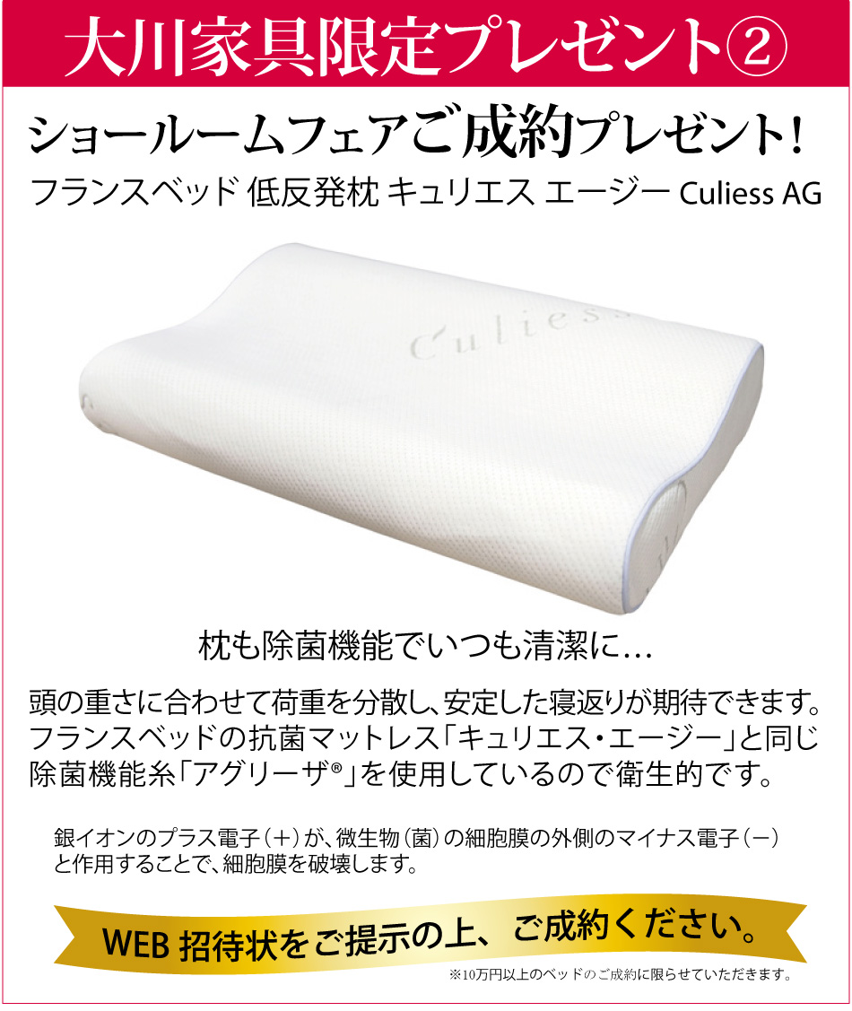 フランスベッドセールプレゼント