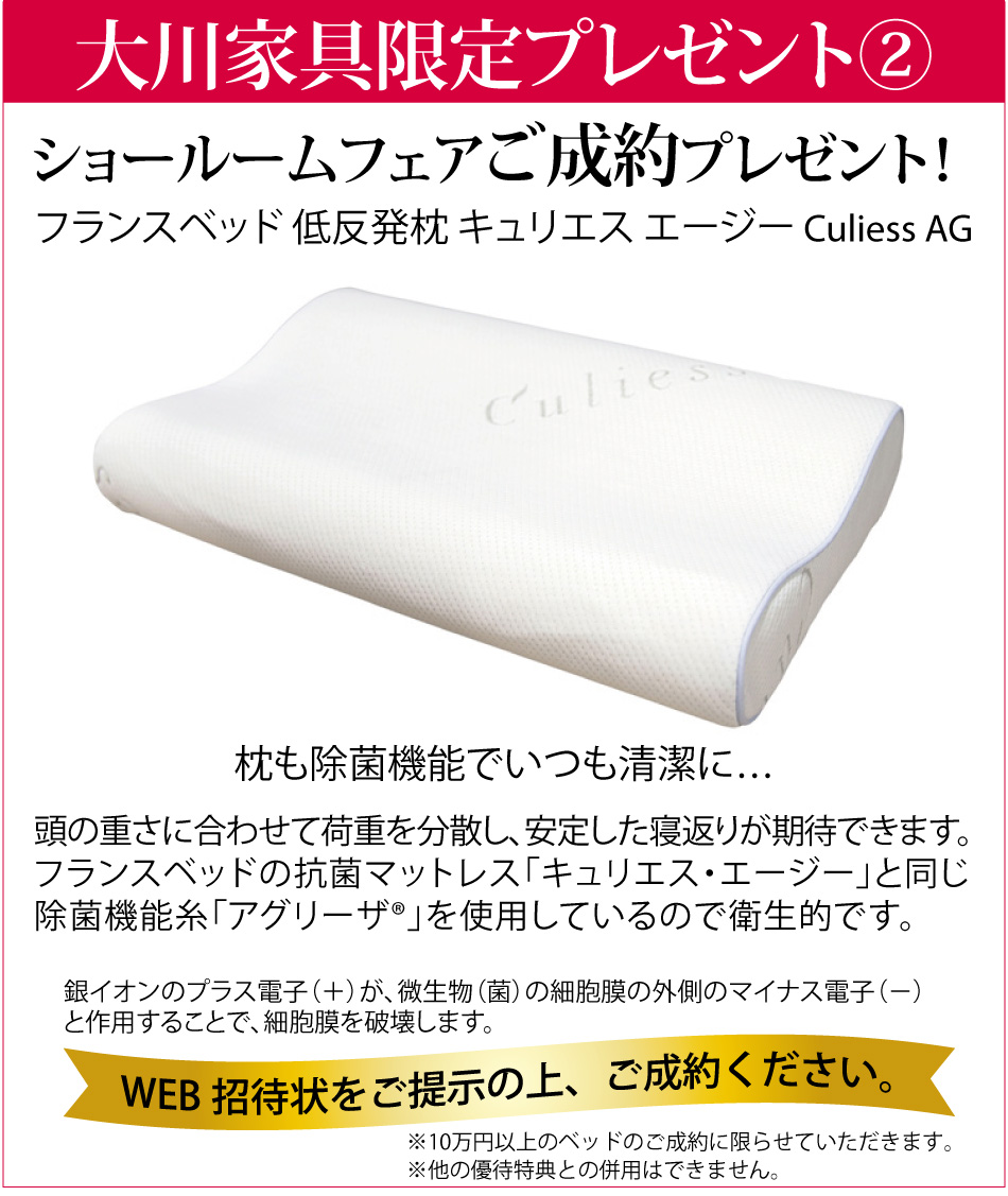 フランスベッドセールプレゼント