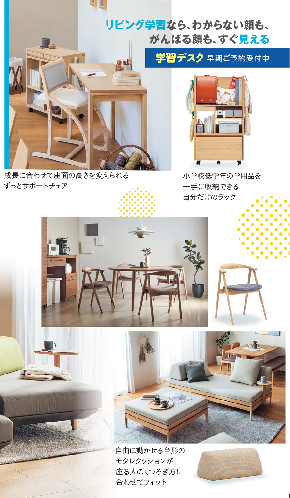 サマーフェアセール開催