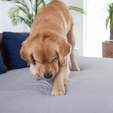 ごろ寝ソファ同時購入特典｜傷・汚れに強い専用カバーと快適なヘッドレストで家事ラクな暮らしへ