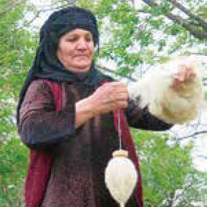 羊毛を紡いで織り糸にする